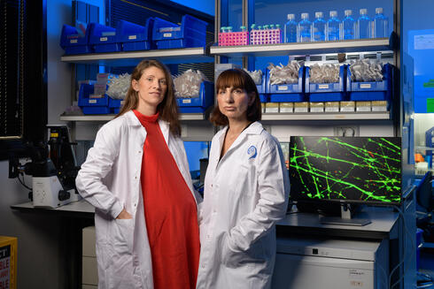 The women turning a blood sample into a map of the depressed brain