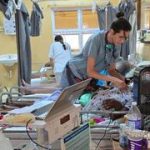 Israelis are saving lives in Jamaica after Hurricane Melissa