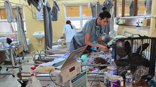 Israelis are saving lives in Jamaica after Hurricane Melissa