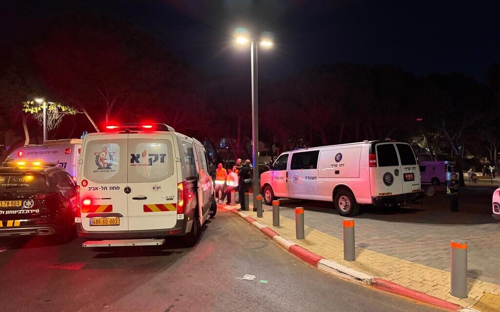 Foreign national found decapitated in Tel Aviv; woman shot dead near Kafr Qasim