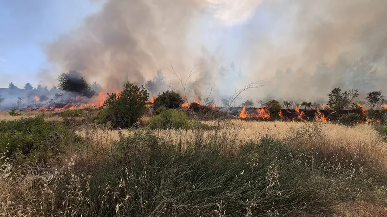 ‘Shoot anyone who starts a fire’: Knesset discusses Arab waste fires in Judea and Samaria