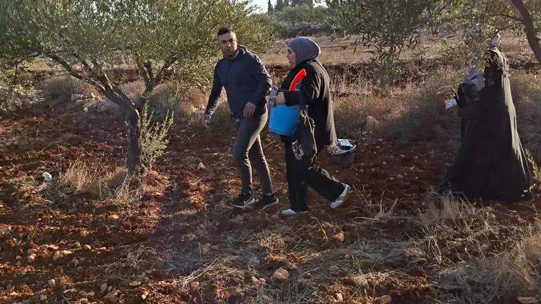 Enough with the Blood Libels – there Is no “Settler Violence”