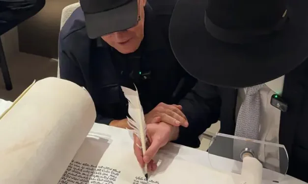 “Do not grab a dog by its ears!”