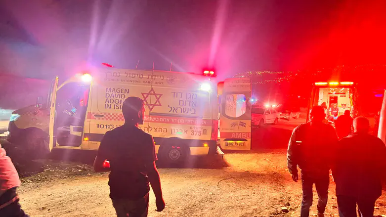 Shepherd released after being attacked and firing his handgun