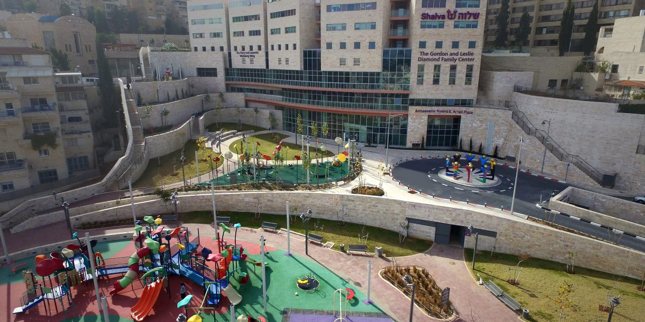 As Israelis deal with wounds of war, people with disabilities show the way – opinion