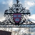 Harvard professor arrested by US immigration agents for firing pellet gun near synagogue