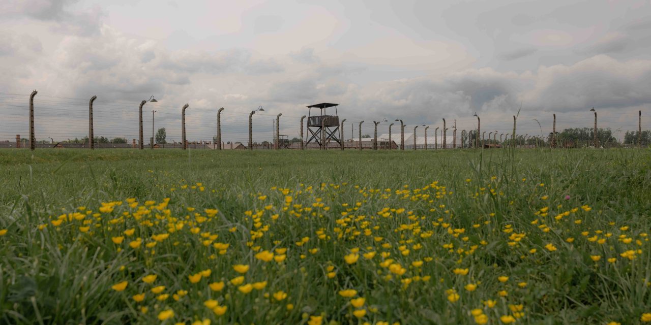 Voices of October 7: Yosef Weiner spoke to photojournalist Chen Schimmel