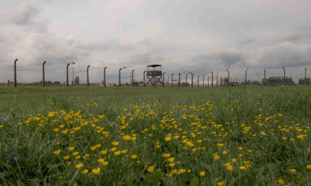 Voices of October 7: Yosef Weiner spoke to photojournalist Chen Schimmel