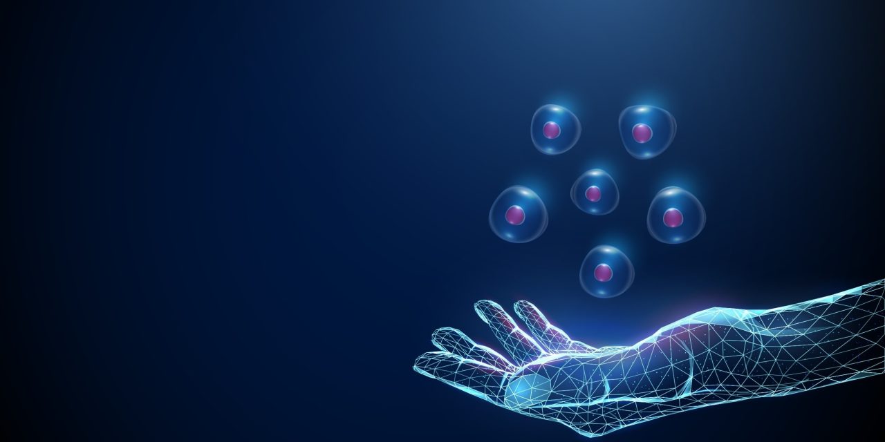 The path to precision medicine runs through virtual patients – opinion