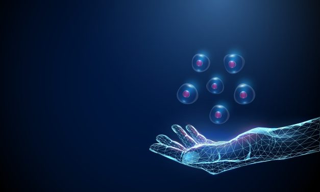 The path to precision medicine runs through virtual patients – opinion