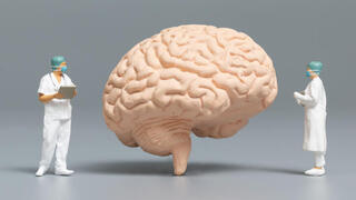 Your brain can age more slowly, researchers discover, but it’s all up to you