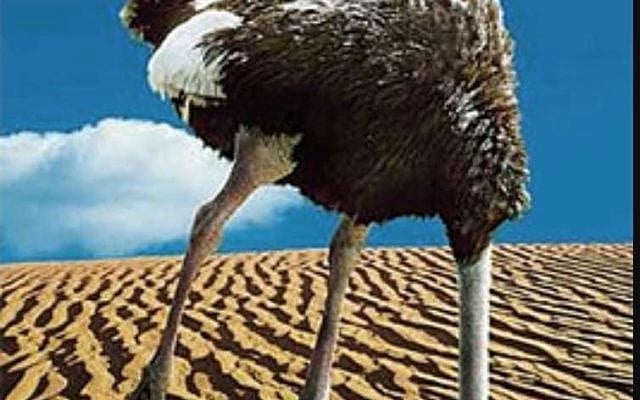 Nadav Tamir | A country that refuses to look in the mirror