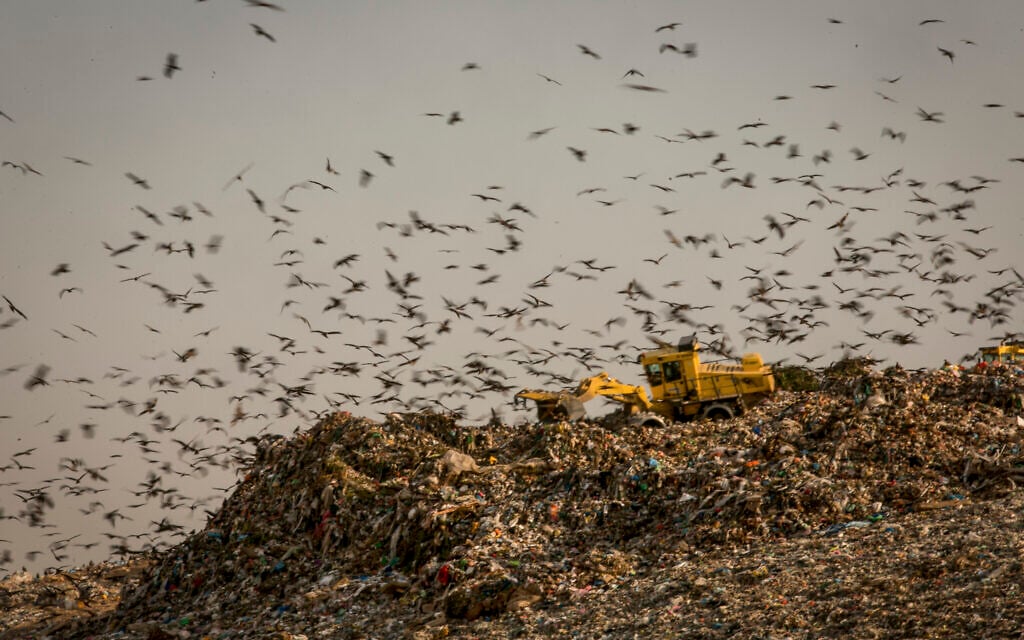 Drowning in garbage: Council heads warn waste sector facing ‘systematic collapse’
