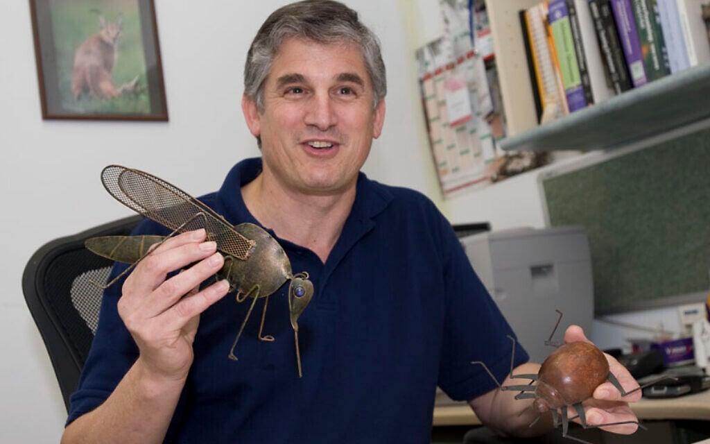 In breakthrough, Israeli scientists develop ‘all-in-one’ DNA test for leishmaniasis infection