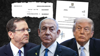 Trump offers to help Netanyahu secure pardon, source says