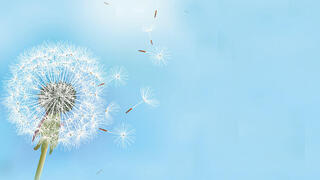 Not a cold: How to tell allergies from viruses and why proper care matters