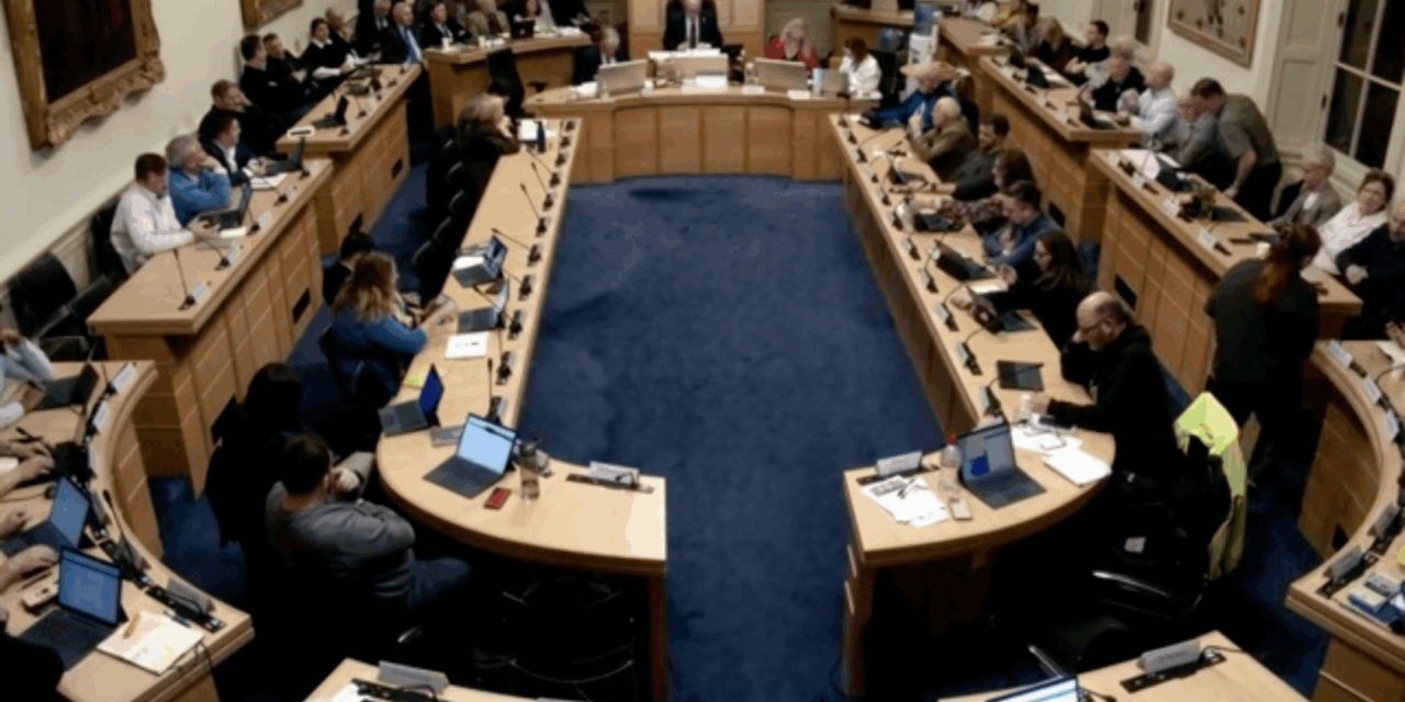 Dublin city councillors accuse Israel and ‘Zionist lobby’ of quashing proposal to rename Herzog Park