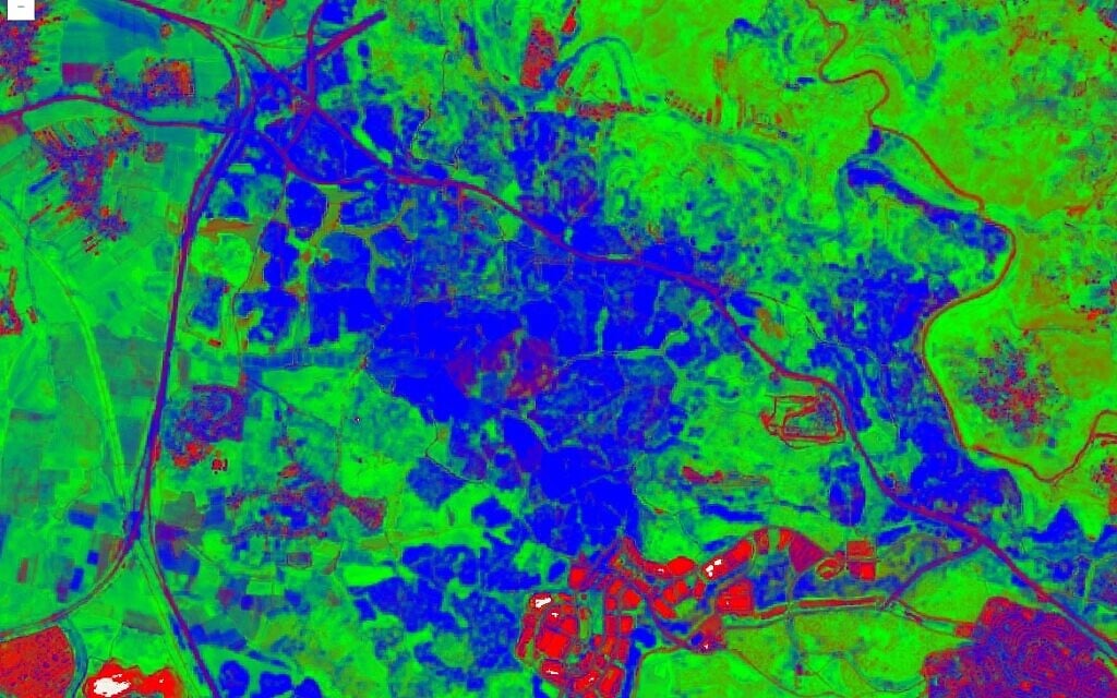 Israeli universities develop satellite tool to survey Mediterranean vegetation cover