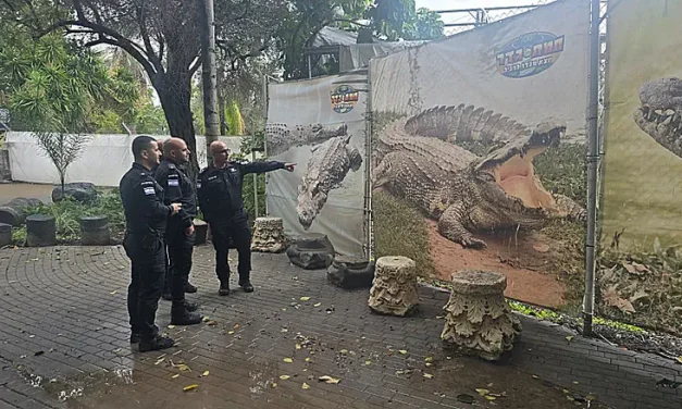 Ben-Gvir’s Alligator Alcatraz: Prison Service officers visit Hamat Gader crocodile farm