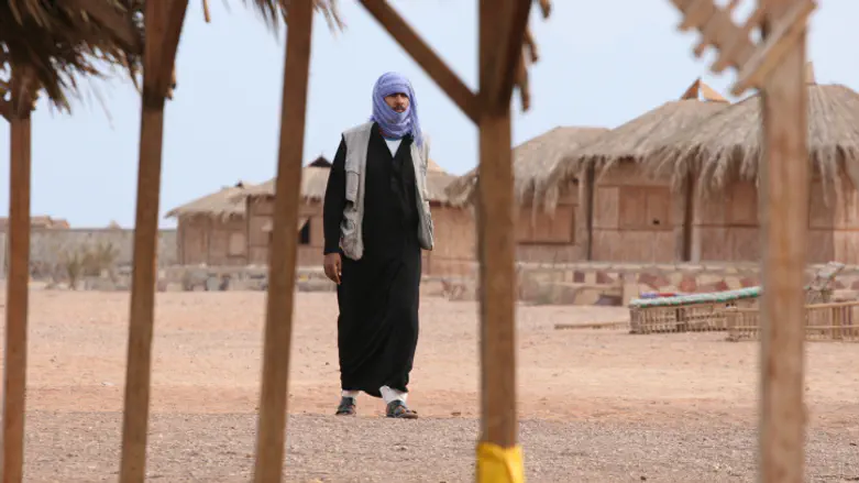 The Walls Come Down: How Cairo is quietly building the “Sinai Option”