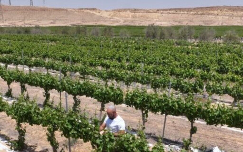 Your small $36 loan can make a big impact – Sponsored Content