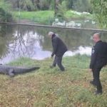 Israel Prison Service tours crocodile farm for Ben-Gvir’s ‘alligator prison’ plan