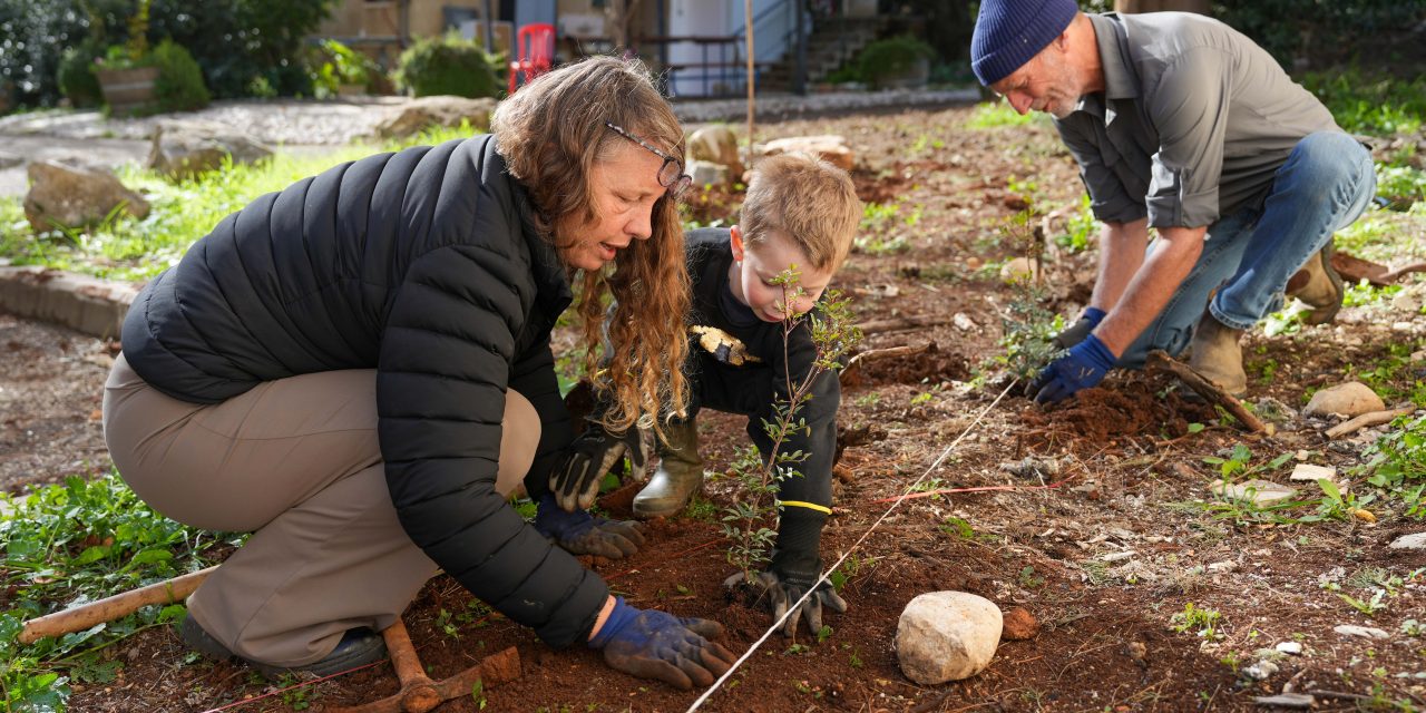 The trees’ hidden hope: A 2026 reflection on Tu Bishvat – opinion