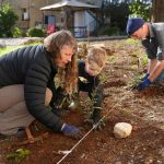 The trees’ hidden hope: A 2026 reflection on Tu Bishvat – opinion