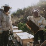 Tu Bishvat: ‘Adam VeAdama’ students from Hashomer Hachadash aid 400 Israeli farmers