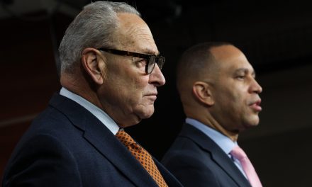 Top NY Democrats vow to fund synagogue security, criticize ICE spending at Jewish policy event