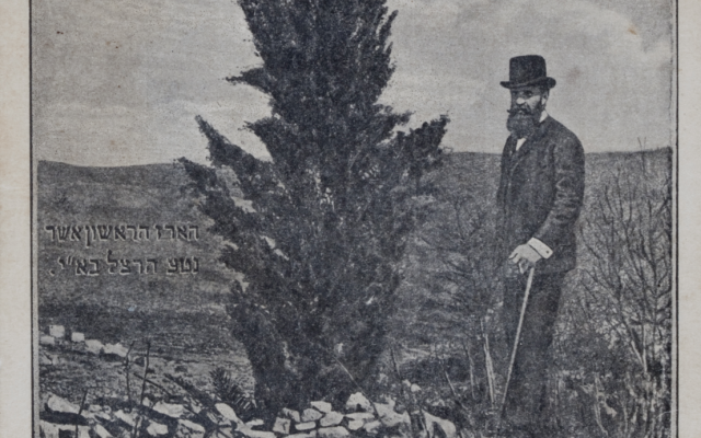 David Matlow | Treasure Trove: Tu BiShvat- Herzl’s Tree is Dead and Still Lives