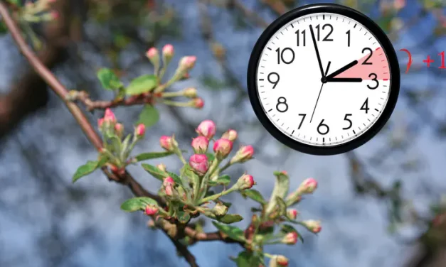 Did you remember to change your clocks? Israel moves to Daylight Saving Time