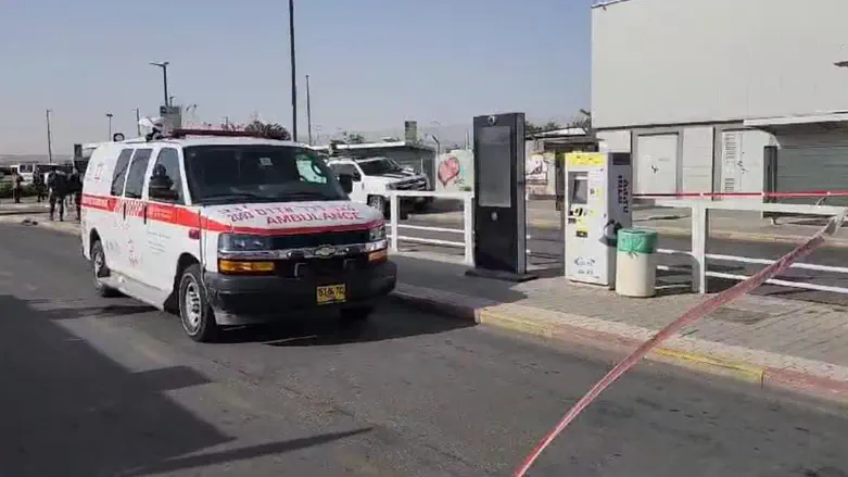Panic in Be’er Sheva: Woman walks down street brandishing knives
