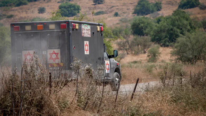 Battalion commander, two reservists wounded by rocket fire in Lebanon