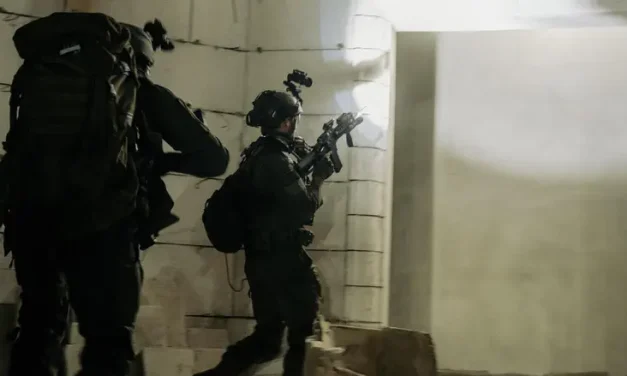 IDF troops foil two terror attacks in Judea and Samaria