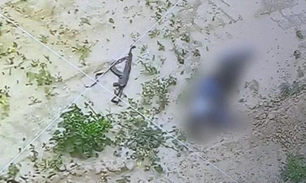 Footage from Gaza: Terrorists fire – and are eliminated