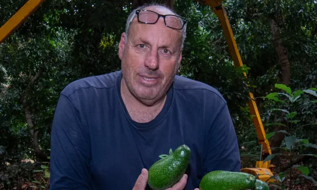 IDF: No negligence in deadly Misgav Am artillery incident