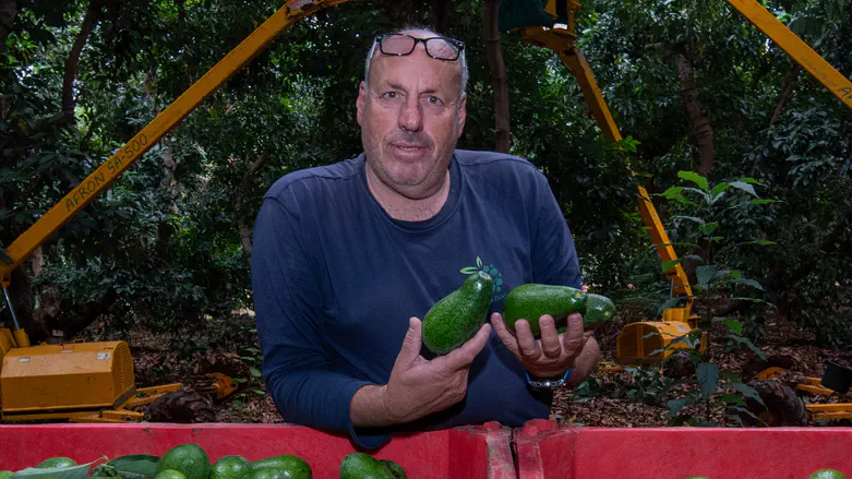 IDF probing whether soldier fire killed man in Misgav Am