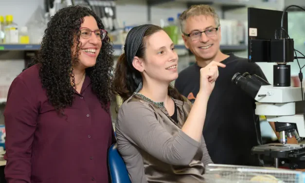 How yeast find the perfect match