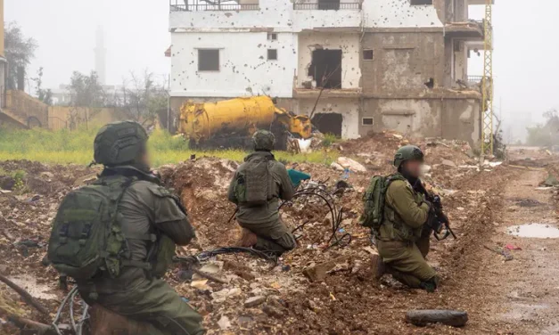 IDF officer moderately injured by friendly fire