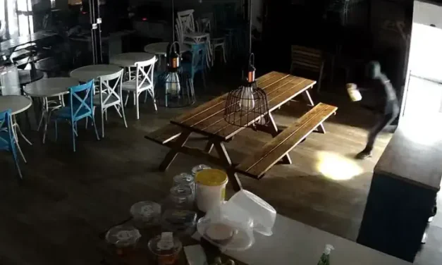 Jerusalem burglars win big: A bottle of milk | Watch