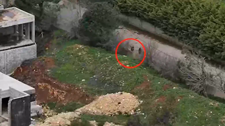 Watch: Terrorists identified on the ground, eliminated from the air