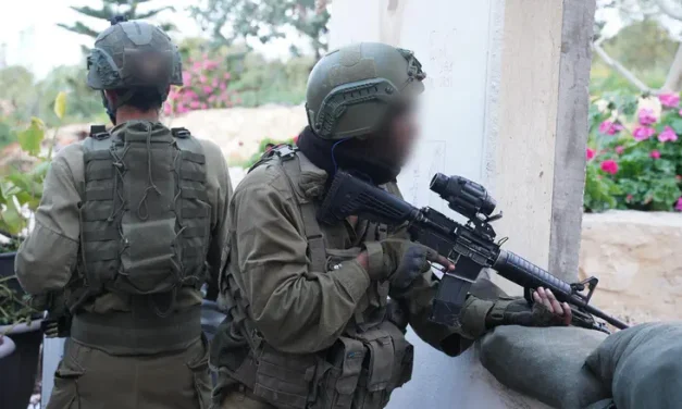 Numbers disclosed: IDF eliminated about 900 Hezbollah terrorists