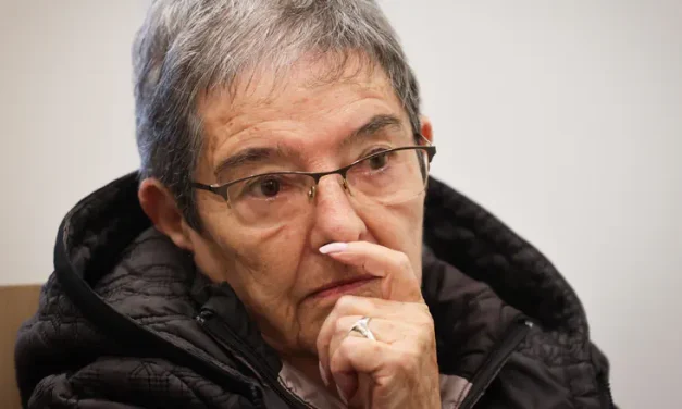 State prosecution files appeal against lenient sentence for Carol Fassler in hit-and-run