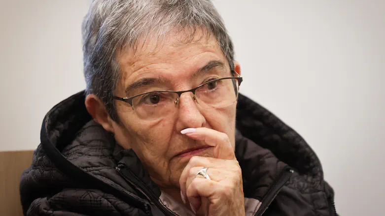 State prosecution files appeal against lenient sentence for Carol Fassler in hit-and-run