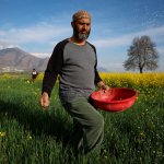 Global Food Supply Faces a Dangerous Bottleneck as Iran War Persists