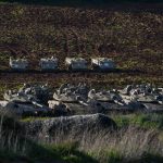 Israel is preparing for largest-scale ground offensive in Lebanon since 2006 war – Axios