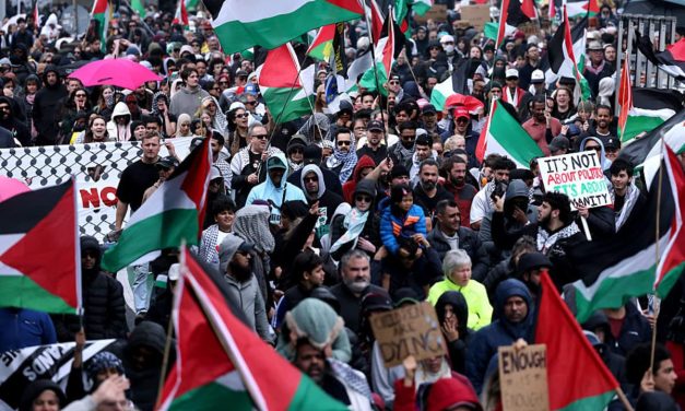 New Zealand ministry gave $30K in taxpayers’ funds to Gaza advocacy campaign