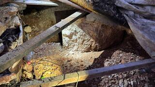 Israel busts Hamas terror cell in West Bank, foils bomb and kidnap plots