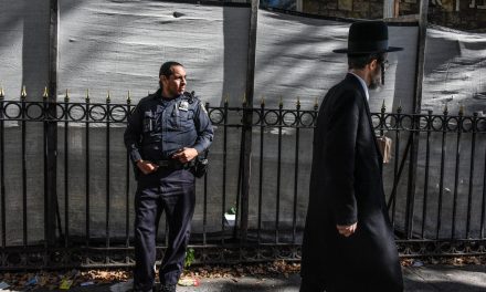 Pro-Israel influencer — and ‘Hot Girls for Cuomo’ founder exits NY bridge authority